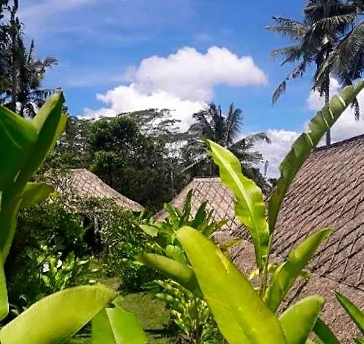 Bersila La Maison Du Bonheur Villa